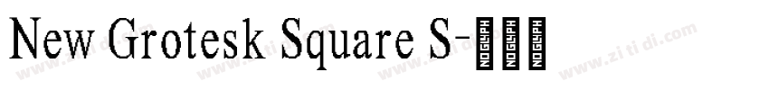 New Grotesk Square S字体转换 New Grotesk Square S字体转换